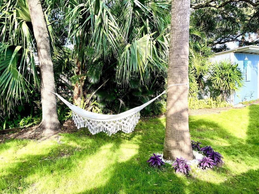 Cozy Sanctuary Minutes From The Bay And Beaches 탬파 외부 사진