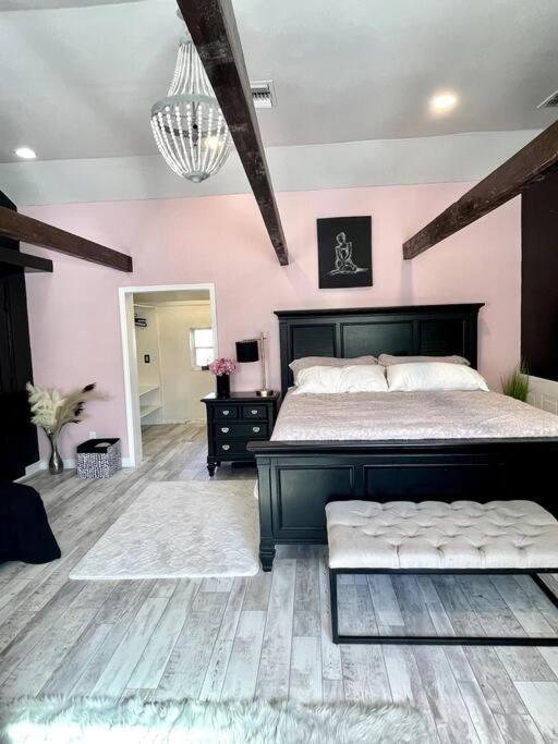Cozy Sanctuary Minutes From The Bay And Beaches 탬파 외부 사진